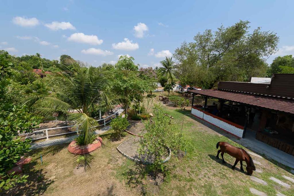 Cowboy Farm Resort Pattaya Ban Huai Yai Esterno foto