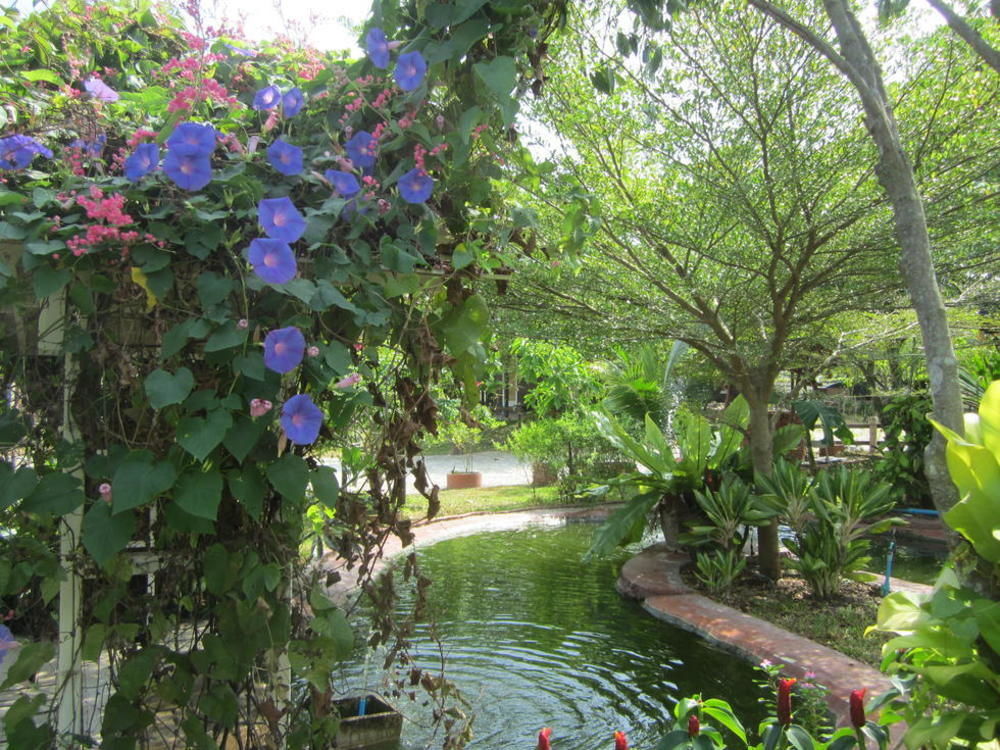 Cowboy Farm Resort Pattaya Ban Huai Yai Esterno foto