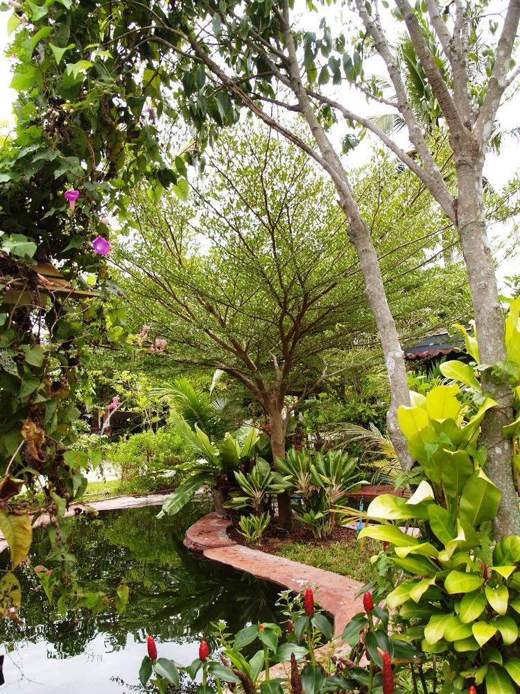 Cowboy Farm Resort Pattaya Ban Huai Yai Esterno foto